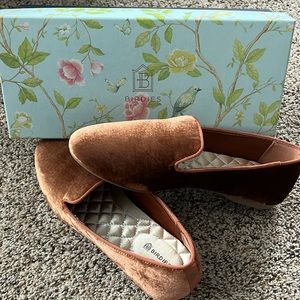 Copper the Starling Birdies